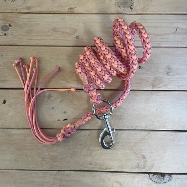 Longhina Candy in paracord