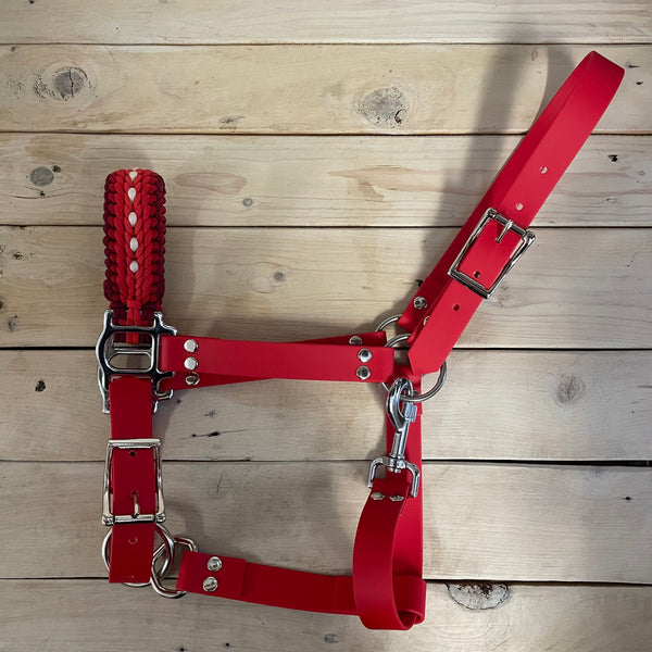 ASSORTED PVC BIOTHANE HALTER, Full Cob Pony at Rs 500/piece in Kanpur ASSORTED PVC BIOTHANE HALTER, Full Cob Pony at Rs 500/piece in Kanpur
